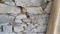acastle
                          112935.jpg